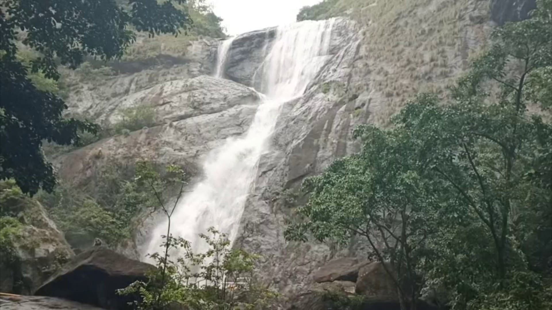 35 நாட்களாக மூடப்பட்டிருந்த பாலருவி இன்று திறப்பு.. சுற்றுலா பயணிகள் மகிழ்ச்சி..