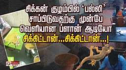 சிக்கன் குழம்பில் ‘பல்லி’.. சாப்பிடுவதற்கு முன்பே வெளியான ப்ளான் ஆடியோ.. சிக்கிட்டான்...சிக்கிட்டான்...!