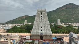 விடுமுறையையொட்டி அண்ணாமலையார் கோயிலில் திரண்ட பக்தர்கள்..