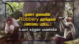 குணா குகையில் Robbery குரங்குகள் பணப்பை பறிப்பு..! உஷார் சுற்றுலா பயணிகளே