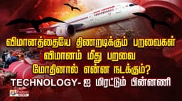 விமானத்தையே திணறடிக்கும் பறவைகள் விமானம் மீது பறவை மோதினால் என்ன நடக்கும்?.. TECHNOLOGY-ஐ மிரட்டும் பின்னணி