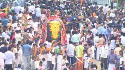 சிதம்பரம் நடராஜர் கோவில் ஆனித் திருமஞ்சன விழா தேரோட்டம்..! மூலவர்கள் நடராஜப் பெருமாள், சிவகாம சுந்தரி தனித்தனி தேரில் எழுந்தருளினர்..