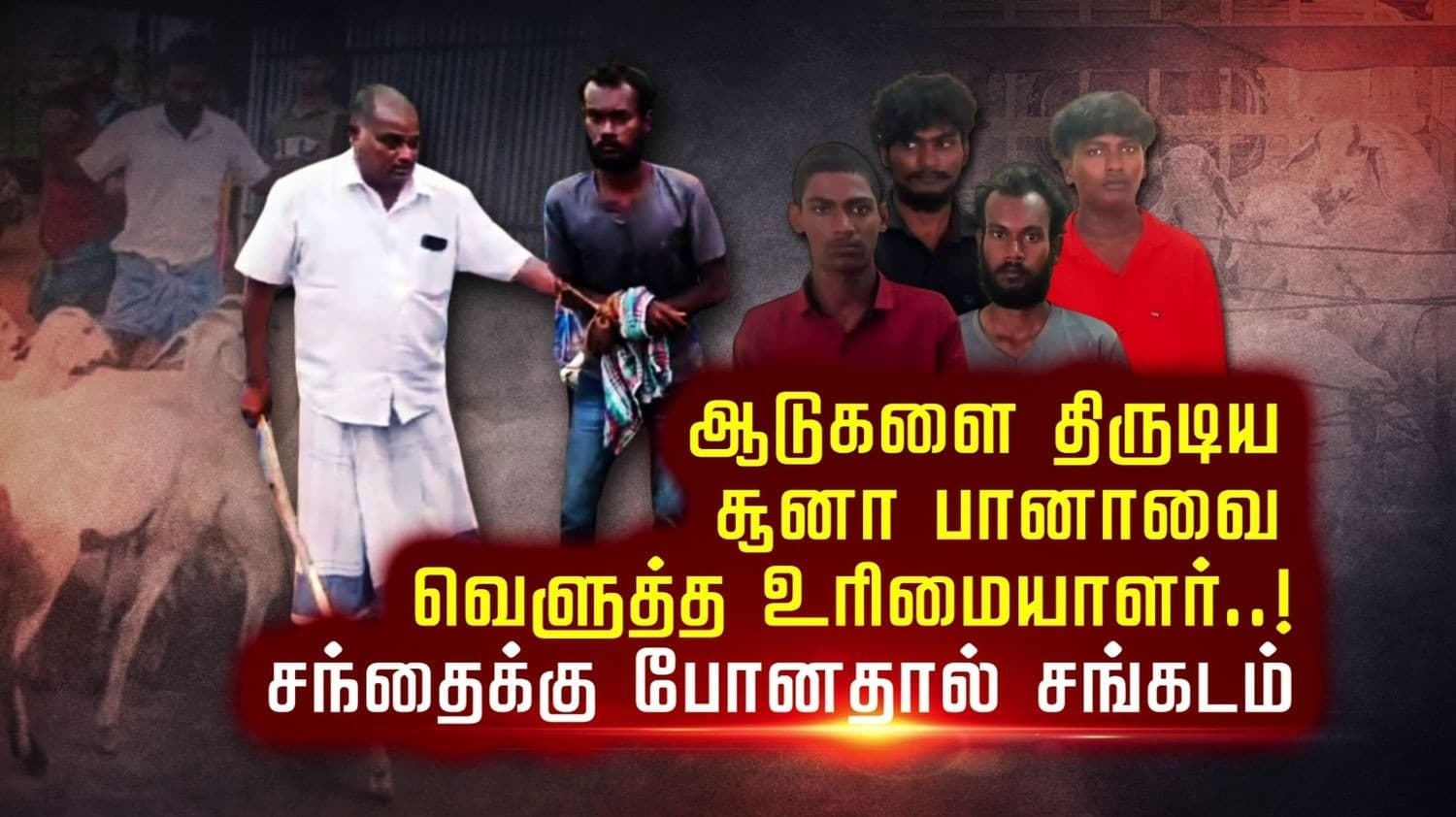 ஆடுகளை திருடிய சூனா பானாவை வெளுத்த உரிமையாளர்..! சந்தைக்கு போனதால் சங்கடம்